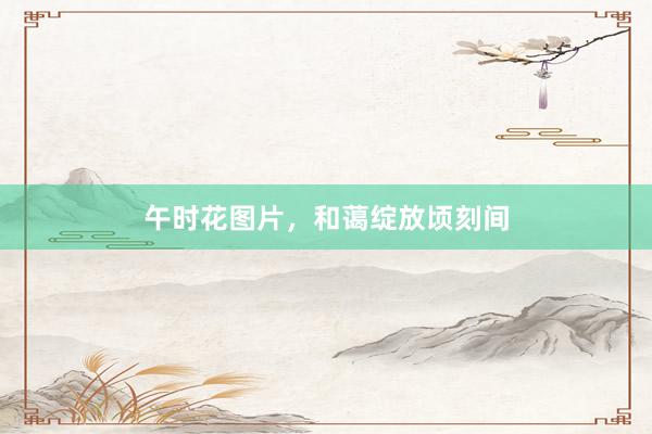午时花图片，和蔼绽放顷刻间