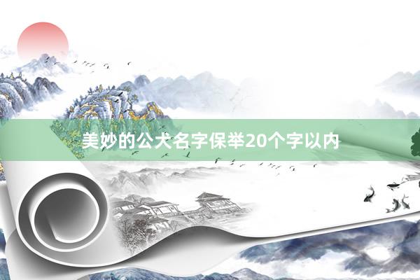 美妙的公犬名字保举20个字以内