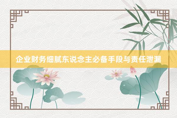 企业财务细腻东说念主必备手段与责任泄漏